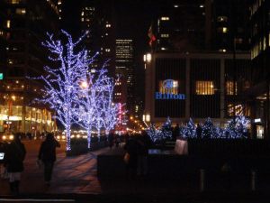 Beautiful NYC at Christmas