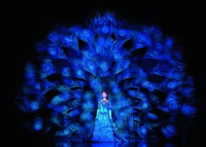 LSN_HAM_Prio 3_Christine Pfauenkleid QF